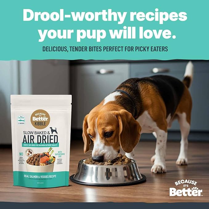 Because it's Better Slow Baked and Air Dried Dog Food, Real Salmon and Veggies, 1lb Bag, Complete and Balanced Dry Dog Food, for All Life Stages