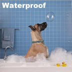 Natural & Safe Flea and Tick Collar for Large Dogs,Safe and Effective Flea and Tick Repellent, 8 Months Protection, Waterproof, Free Comb and Tick Removal Tool, Flea Repellent Drops, 27.5 inch,1-Pack