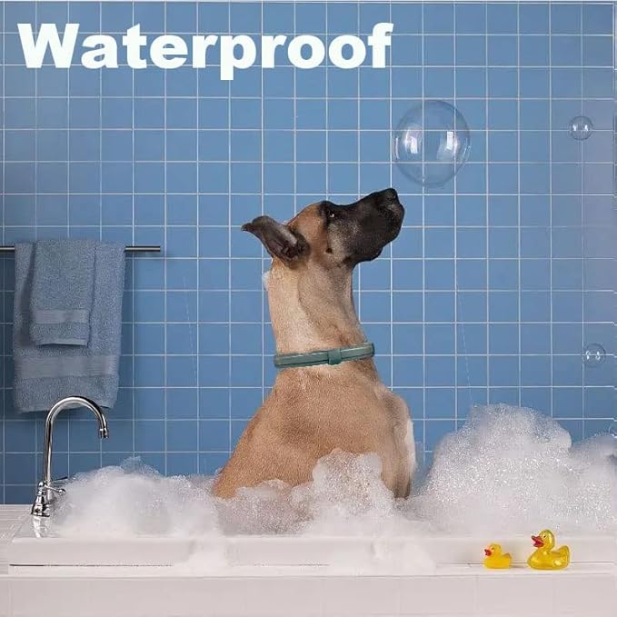 Natural & Safe Flea and Tick Collar for Large Dogs,Safe and Effective Flea and Tick Repellent, 8 Months Protection, Waterproof, Free Comb and Tick Removal Tool, Flea Repellent Drops, 27.5 inch,1-Pack