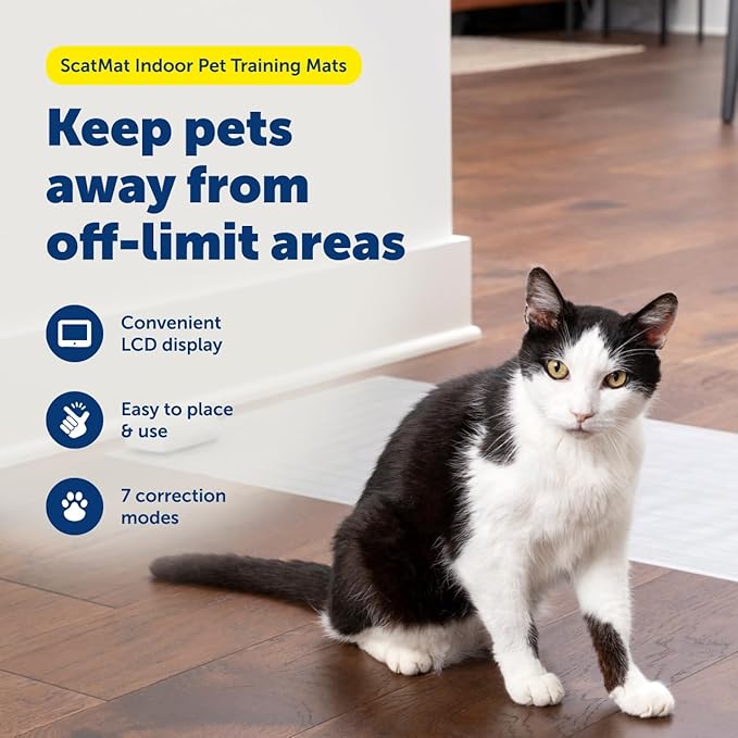 PetSafe ScatMat Indoor Training Mat