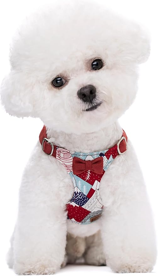 Puppytie No Pull Small Dog Harness with Multifunction Dog Leash,Lightweight Soft Adjustable No Choke Escape Proof Pet Harness Vest Pet Harness Vest,Suede Bow red,S