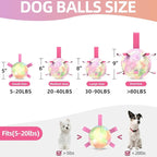 QDAN Dog Toys Soccer Ball with Straps, Durable Dog Balls for Tug of War, Puppy Birthday Gifts, Dogs Water Toy Small Dogs-Rainbow（5 Inch）