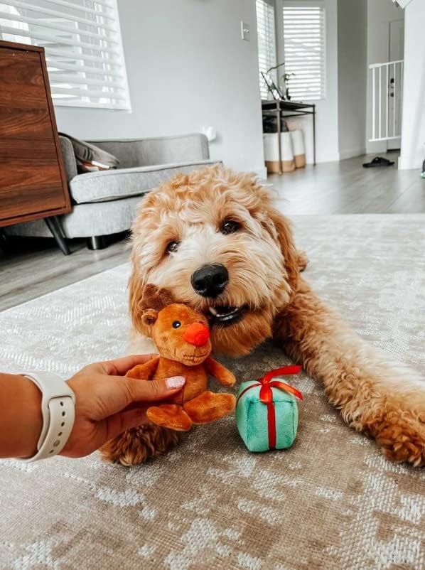 Midlee Santa Sleigh Find a Toy Christmas Dog Toy- Plush Burrow Interactive Hide & Seek Pet Holiday Toy