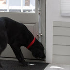 Caldwell's Pet Supply Co. Dog Potty Bells, Dog Door Bell, Bells to Go Outside, Potty Training Bell, Dogs Doorbell, Dogs Potty Doorbell, Ring to Go Pee, All Breed Puppy Training Tool