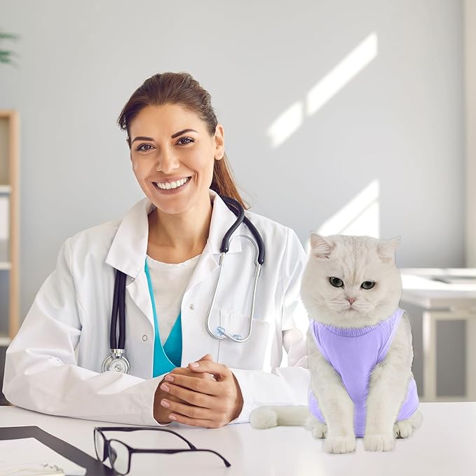 Avont Cat Recovery Suit - Kitten Onesie for Cats After Surgery, Cone of Shame Alternative Surgical Spay Suit for Female Cat, Post-Surgery or Skin Diseases Protection -Purple(M)