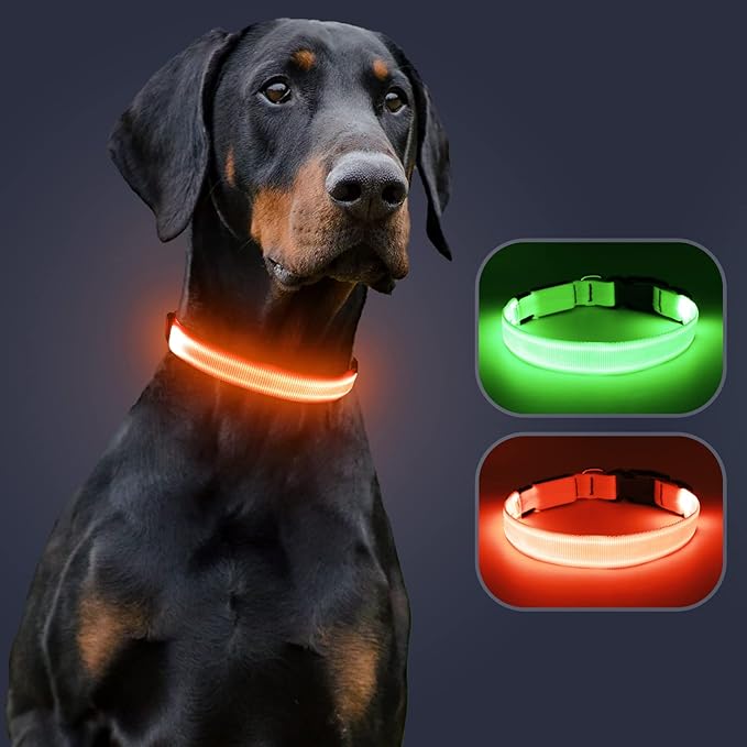 LED Dog Collar - Adjustable, Waterproof, Glow in Dark for Night Walking, Medium Large Dogs