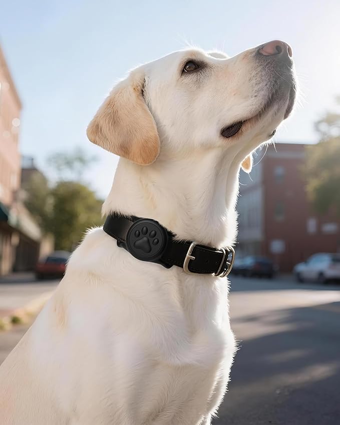 IP68 Waterpoof Dog Air tag Holder, Stretchy Silicone Full Body Covered Apple Air Tag Holder for Dog Cat Collar Fit All Width Collar (Black1, 1 Pack)