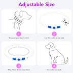Colaseeme LED Dog Collar Light Up Dog Collars 1 Count USB Rechargeable TPU Glow Safety Basic Dog Collars for Large Medium Small Dogs (Purple)