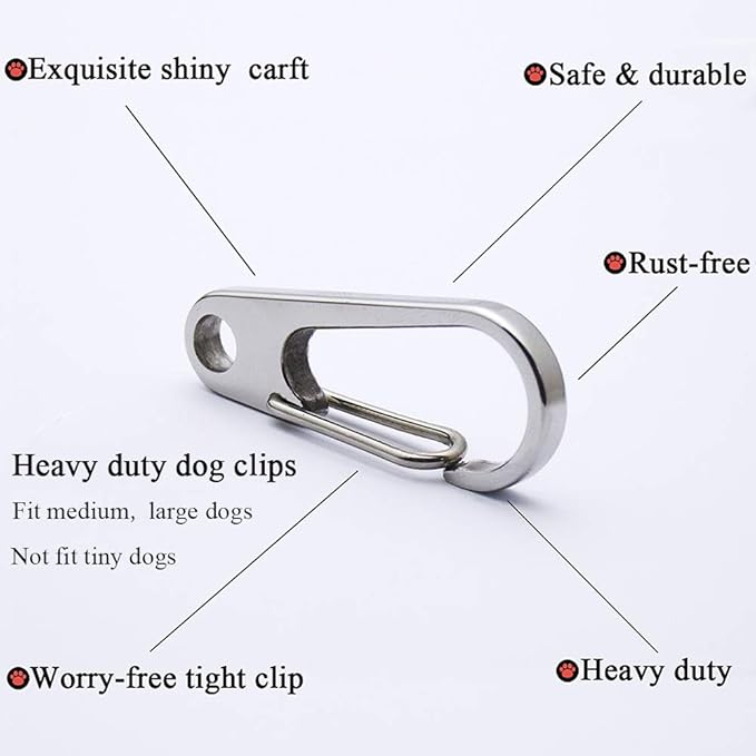 IVIA Dog Tag Clips / 2 Pack/Multiple Size 304 Stainless Steel Quick Clip with Rings/Easy Change Dog Cat ID Tag Holder for Small pet Collars and Harnesses.(2 Large Silver)