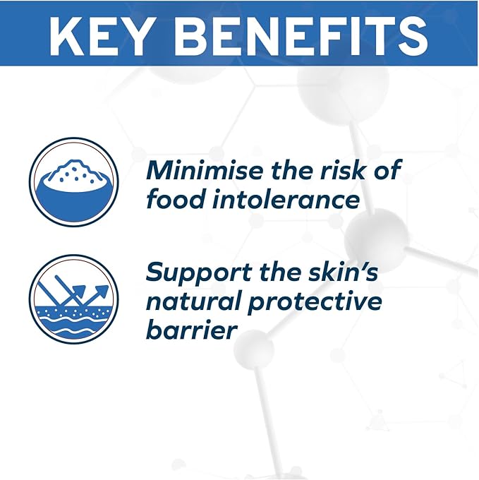 Forza10 - Dog Food, Vet Formulated Wet Dog Food for Allergies, Skin & Coat Support, Non-GMO, Lamb Flavor, Made in Italy (3.5 oz, 32 Pack)