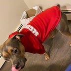 BINGPET Security Dog Hoodies Puppy Sweater Cold Weather Dog Coats Soft Brushed Fleece Pet Clothes Hooded Sweatshirt for Dog Cat