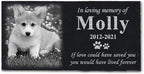 ODB Personalized Pet Memorial Stones, Black Granite Memorial Garden Stone Engraved with Photo, Gifts for Someone Who Lost a Loved One, or Pet, Dog, Cat (with Photo)