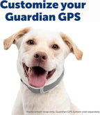 PetSafe Replacement Strap for Guardian GPS + Tracking 1.0 and Guardian GPS Dog Fence Collar, Made with Soft Touch Nylon for Enhanced Comfort,Long Lasting Wear Water Wicking, Waterproof Material, Gray