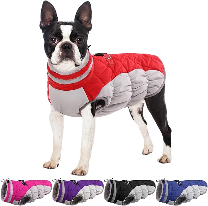 Small Dog Coat,Dog Jackets for Small Dogs,Warm Winter Jacket, Puppy Coat with Harness Built in,Waterproof Dogs Jacket,Puppy Cold Weather Coats,Pet Winter Clothes Snowsuit Shih Tzu Bichon,Red