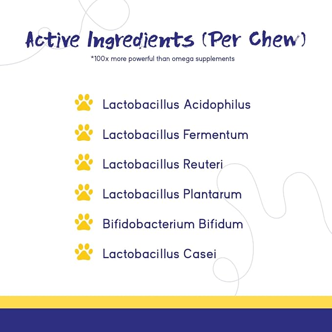 PupGrade Digestive Support Chews for Dogs - Prebiotic and Probiotic Supplement with Enzyme Blend - Upset Stomach, Diarrhea, Bowel, and Immune Support - Pumpkin, Blueberry, Mineral Oil - 180 Soft Chews
