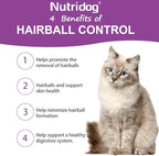 Hairball Treats for Cats - Hairball Remedy Chews with Omega 3&6, Psyllium Husk, Zinc & Biotin - Salmon Flavor for Hairball Control, Digestive Health & Skin Support, 100ct (ND-044)