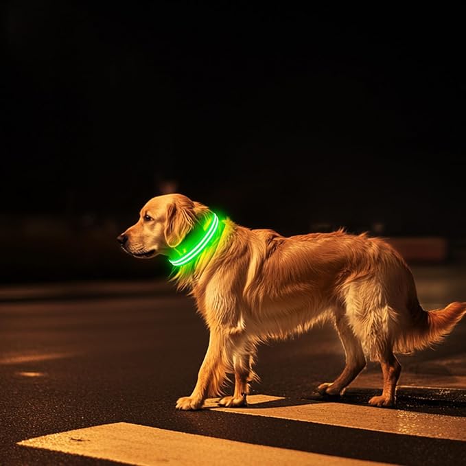PcEoTllar Lighted Dog Collars for Night, Light Up Dog Collar Rechargeable Water-Resistant Flashing LED Dog Collars Safety Glow in The Dark Dog Collars Light for Large Small Medium Dogs