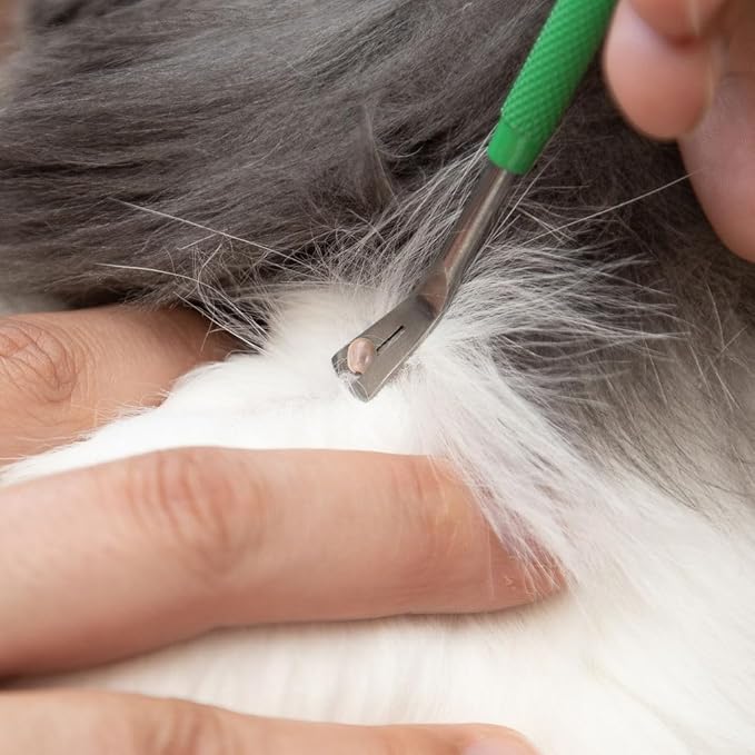 TickCheck Premium Tick Remover Kit - Stainless Steel Tick Remover + Tweezers, Leather Case, and Free Pocket Tick Identification Card (2 Sets)