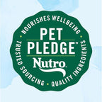 Nutro Limited Ingredient Diet Adult Dry Dog Food, Salmon & Lentils Recipe, 4 lbs.