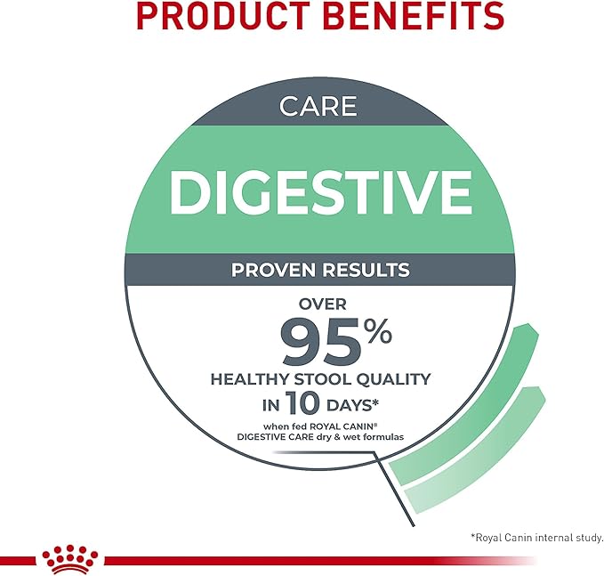 Royal Canin Feline Care Nutrition Digestive Care Adult Thin Slices in Gravy and Loaf in Sauce Cat Food, 3 oz (Pack of 12)