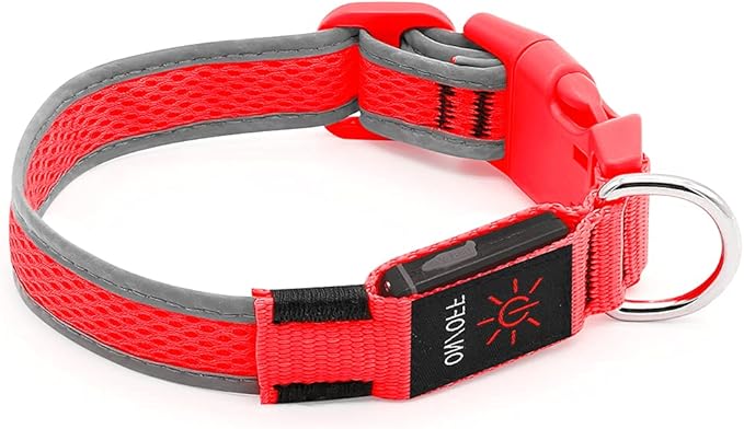 YFbrite Light up Dog Collar, USB Rechargeable LED Puppy Collar Super Bright Adjustable Glowing Dog Lights for Night Walking (Red, Small)