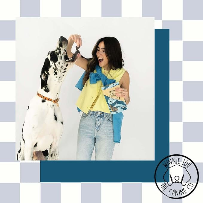 Winnie Lou Elk Jerky Dog Treats – Limited Ingredient, Human Grade, Training Treats for Small, Medium & Large Dogs, Made in USA (1 Pack)