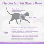 rabbitgoo Cat Harness and Leash Set for Walking Escape Proof, Adjustable Soft Kittens Vest with Reflective Strip for Cats, Comfortable Outdoor Vest, Light Purple, S