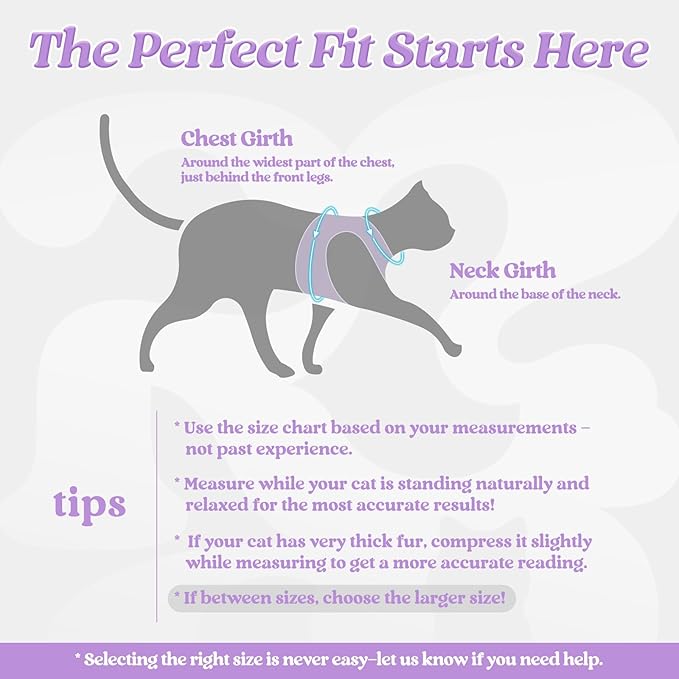 rabbitgoo Cat Harness and Leash Set for Walking Escape Proof, Adjustable Soft Kittens Vest with Reflective Strip for Cats, Comfortable Outdoor Vest, Light Purple, L