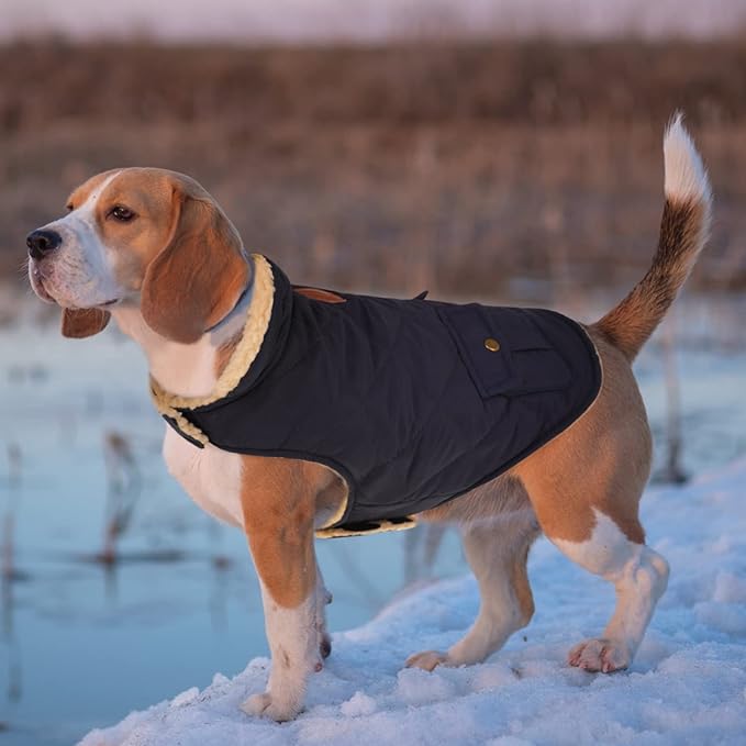 Queenmore Warm Puffer Dog Jacket, Quilting Winter Coat Ultra Thick Plush Lining with Storage Pockets (Dark Navy, X-Small)