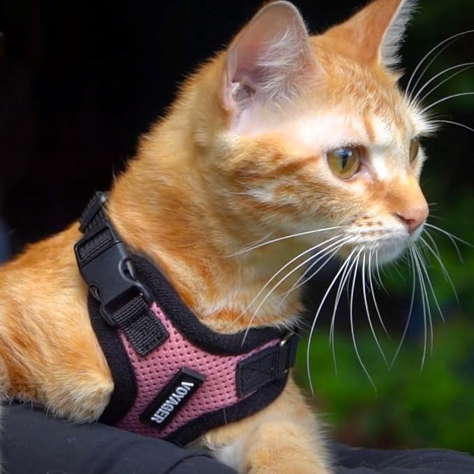 Voyager Escape-Proof Step-in Lock Cat Harness & 5ft Neoprene-Handle Leash Set All-Weather Mesh with Reflective Stitching for Small to Large Cats by Best Pet Supplies, Pink/Black Trim, XS