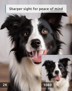 blurams 5G Pet Camera 2K, 360° PTZ Dog Camera with Phone App, Indoor Cameras for Home Security w/Dual-Band WiFi6, 2-Way Audio, Motion Tracking, Color/IR Night Vision, Siren, Cloud&SD