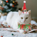 2Pcs Dog Santa Hat and Tutu Collar Set, Pet Cat & Small Dog Christmas Outfit Costume for Xmas Holiday Birthday Party