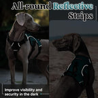 rabbitgoo Escape Proof Dog Harness Medium, Soft Padded Full Body Pet Harness, Reflective Adjustable No Pull Vest with Lift Handle and Leash Clip for Walking Hiking Training, Dark Green, M