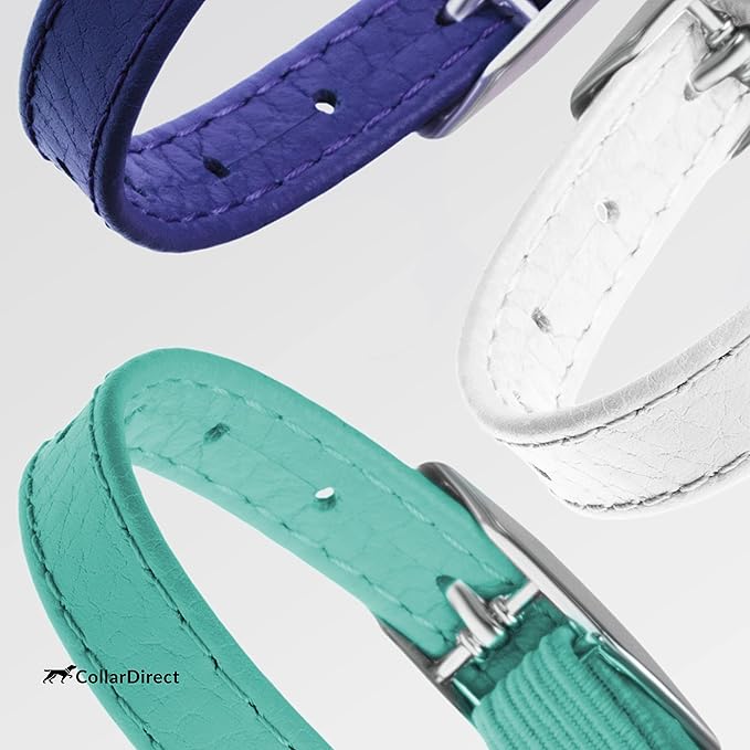 CollarDirect Leather Cat Collar, Kitten Collar with Removable Bell Black Blue Red Orange Lime Green (8-11 Inch, Purple)