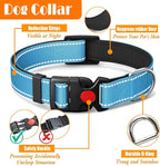 No Pull Dog Harness, Collar & Leash Set | Includes Dog Seat Belt, Collapsible Bowls & Poop Bag Dispenser. Ideal for Training, Walking, Hiking. Fits Small to Large Dogs(Blue-L)