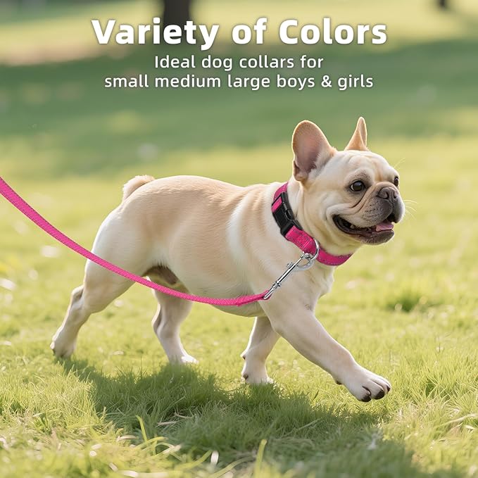 Reflective Dog Collar, Soft Neoprene Padded Nylon Pet Collar with Quick-Release Buckle, Adjustable for Mediunm Dogs,Hotpink,M, 3/4" Width