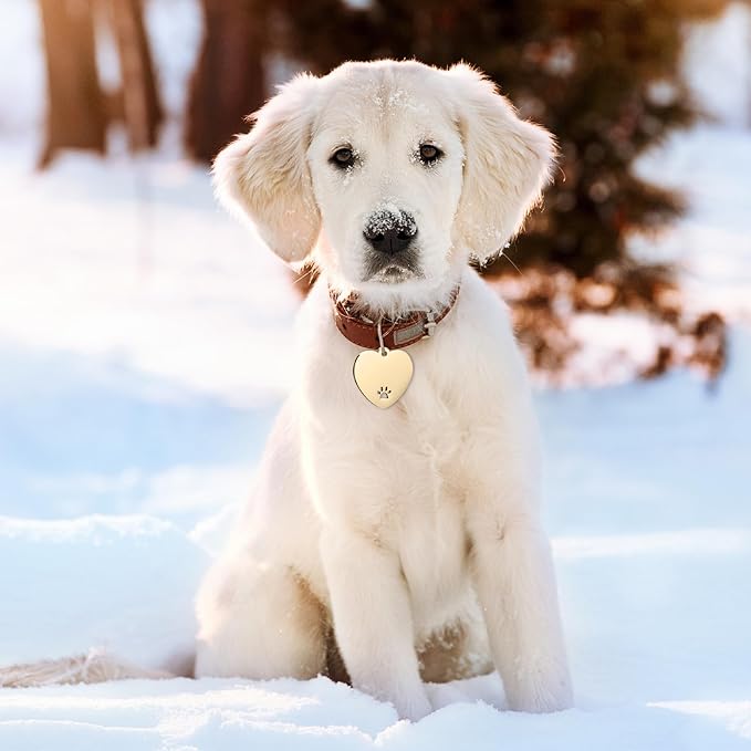 Hicarer 30 Pcs Stainless Steel Blank Pet ID Tags Personalized Dog Name Tag with Hollow Design Engraved on Both Sides Dog Cat Collar Name Accessories Regular Size DIY (Heart Shape)