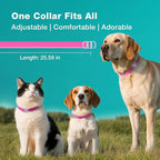 ZingZap Flea & Tick Collar 2-Pack Pink, Protects from Biting Insects, Adjustable Fits Both Dogs & Cats, Built-in Plant Based Formula, Slow-Release Lasting Protection, Waterproof