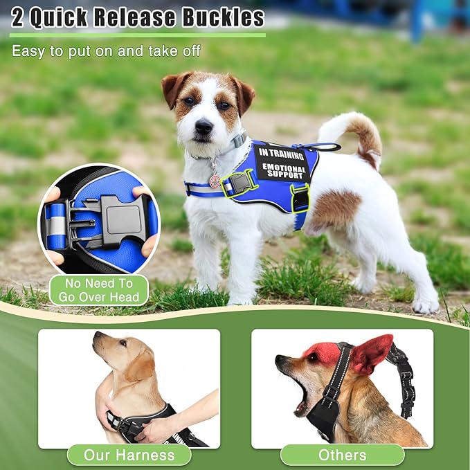 Service Dog Vest Harness+ID Tag+10 Patches,Metal Serivce Dog Tag&Reflective Emotional Support Dog Vest with Handle for Small Dogs,Easy Put On/Off for Training/Walking/Everyday Blue XS
