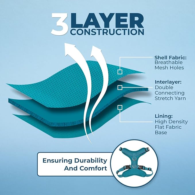 Voyager Escape-Proof Step-in Lock Cat Harness & 5ft Neoprene-Handle Leash Set All-Weather Mesh with Reflective Stitching for Small to Large Cats by Best Pet Supplies, Turquoise, XS