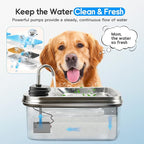 Dog Water Fountain Pump Replacement, Water Pump for SwSun 7.5L/254oz Pet Water Fountain, Super Quiet Pump for Dog Water Bowl Dispenser