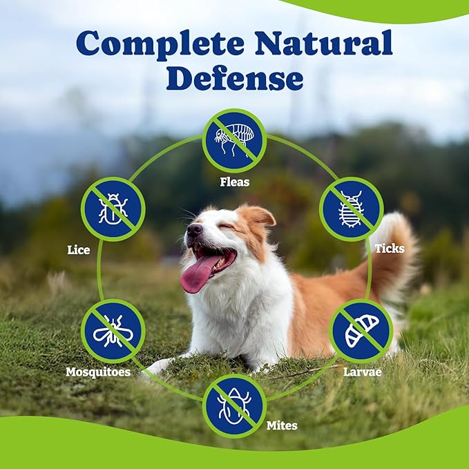 Flea & Tick Prevention for Dogs Chewables, YoYoBay Natural Dog Fleas and Ticks Control Supplement, Dogs Supplement, Natural Shield 5-in-1 Protection, Bacon & Sweet Potato Flavor, 180 Soft Chews