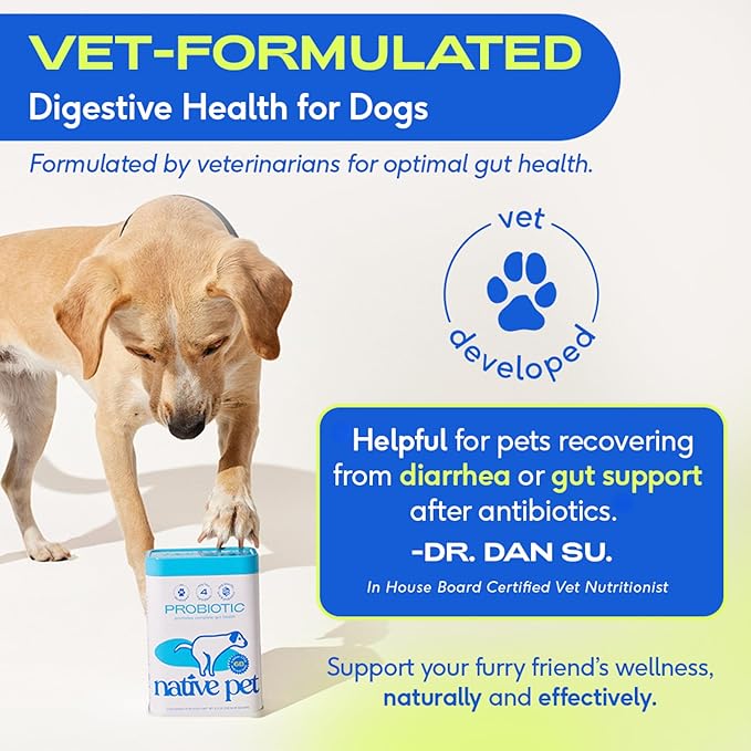 Native Pet Probiotics for Dogs - Dog Probiotics Powder for Digestive Health, Gut Support, & Immune Boost – Vet-Formulated Powder for Maximum Potency with Digestive Enzymes & Prebiotics - 120 Scoops
