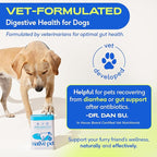 Native Pet Probiotics for Dogs - Dog Probiotics Powder for Digestive Health, Gut Support, & Immune Boost – Vet-Formulated Powder for Maximum Potency with Digestive Enzymes & Prebiotics - 60 Scoops