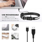 MASBRILL Light Up Dog Collars - LED Dog Collar Rechargeable Lighted Dog Collars for Night Resistant-Water Glow Dog Collar