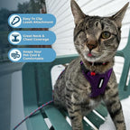 Voyager Escape-Proof Step-in Lock Cat Harness & 5ft Neoprene-Handle Leash Set All-Weather Mesh with Reflective Stitching for Small to Large Cats by Best Pet Supplies, Purple, S