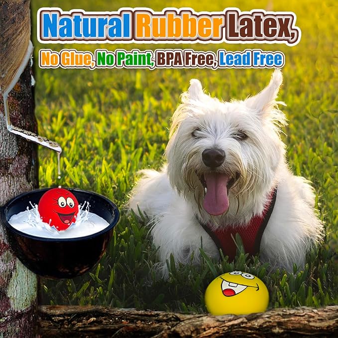Squeaky Dog Toy for Small Dogs Latex Soft Puppy Toys Small Dog Toys Balls, Smile Face Flat Squeaky Dog Balls for Mini, Small Breeds