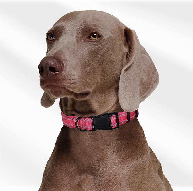 Mile High Life Nylon Night Light Glow Collar, Reflective Light Up Dog Collar, Fluorescent Self-Luminescent Strap for Small Medium Large Dogs (Pink, L Neck15-19")