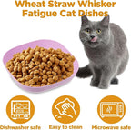 32 Pcs Fatigue Relief Cat Bowl 5.5 Inch Shallow Cat Food Dish Tray Wet Feeding Bowls Wide and Small Pet Plates for Short Legged Kitten,Ferrets,Kitten Shelter(Blue, Green, Pink, Beige)