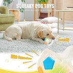 Dog Toy Ball with Handle, Toss and Fetch Play, Interactive Ball for Dogs Playing, Squeaky Floating (2pc)
